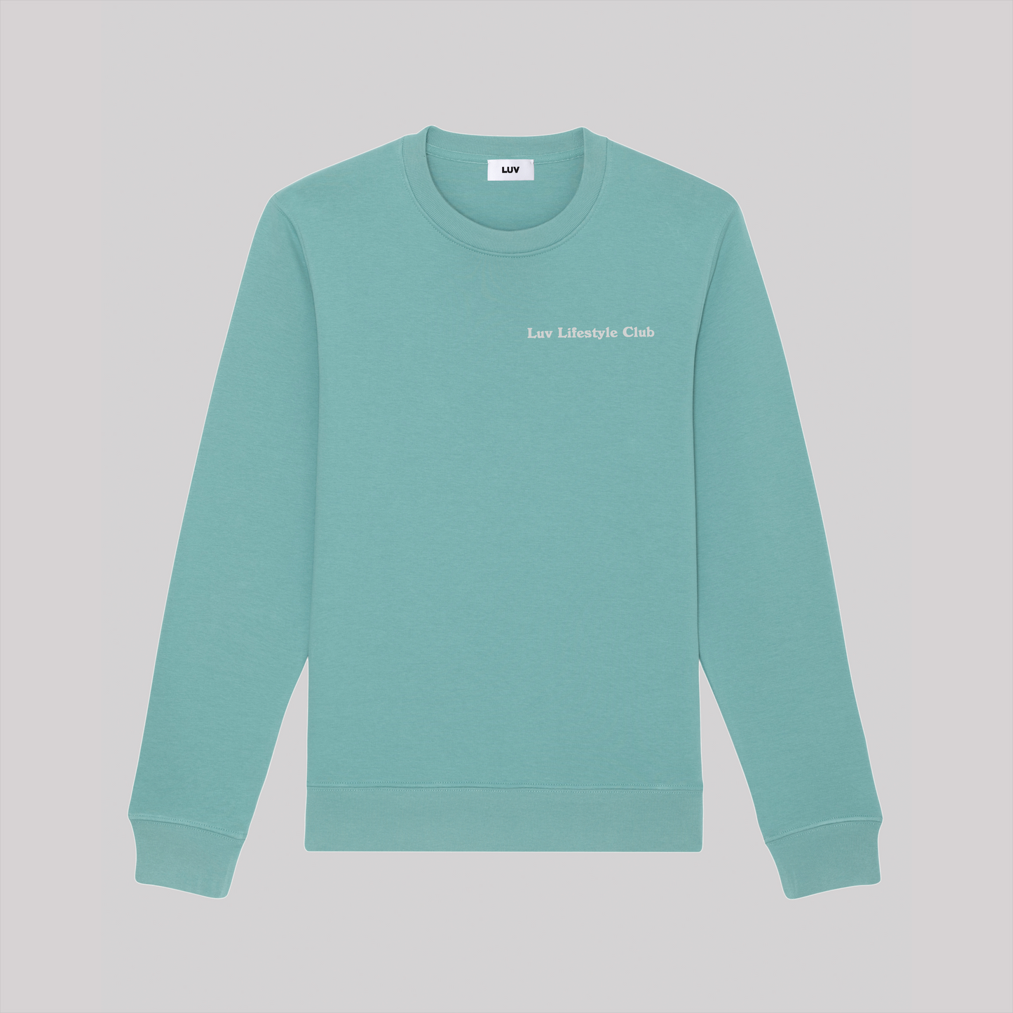LLC Sweatshirt (Aqua Sky)